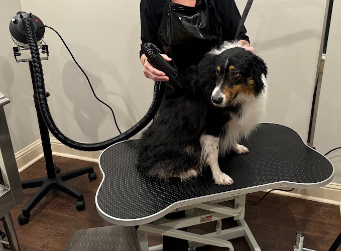 4 Seasons Barks and Bubbles