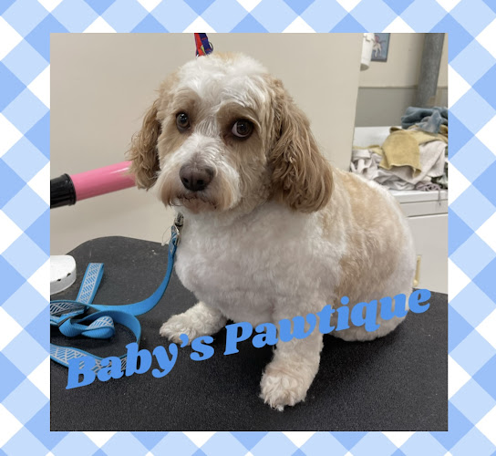 A Baby’s Pawtique