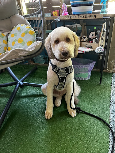 A Becoming Pet Salon and Mobile Spa