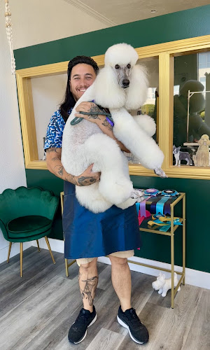 A Cut Above Grooming Salon West