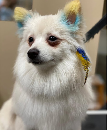 A Diamond in the Ruff