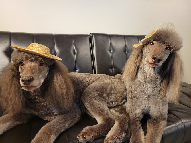 A Dog’s World Grooming