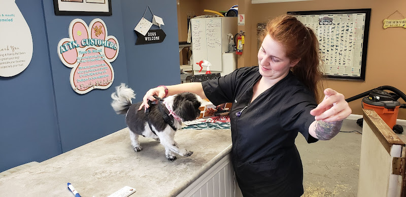 A Family Pet Salon