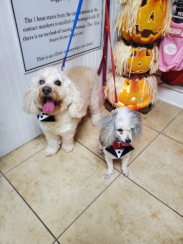 A Gentle Touch Pet Grooming