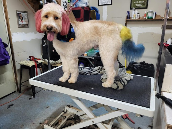 A PAWSitively PURRfect Place, LLC