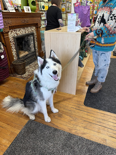 A Pet's Paradise Grooming Salon