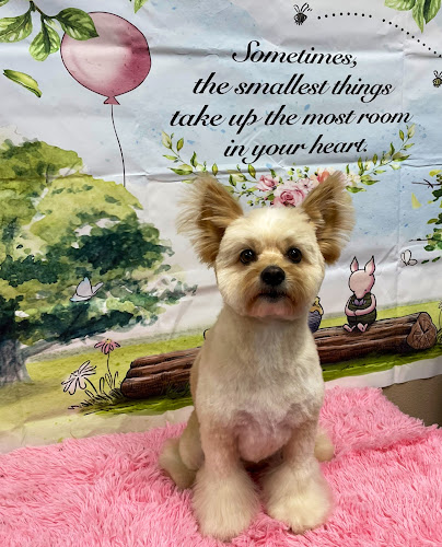 A Picture Perfect Pet Grooming