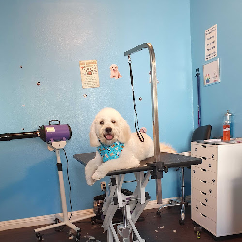 A Pups Dream Dog Grooming LLC