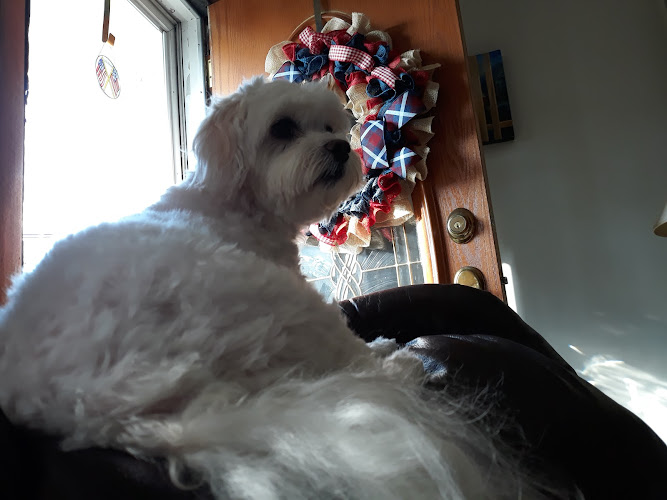 A Wizard of Paws Pet Boutique Inc