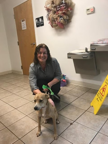 Abbott's Groom & Board