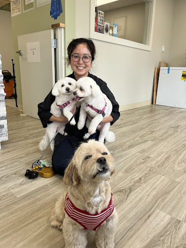 Abby’s Dog Grooming Salon