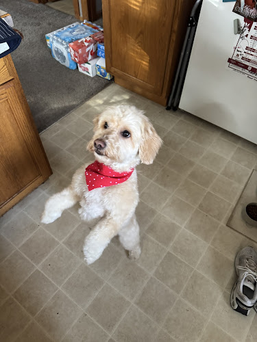 Aberdeen Prairie Paws LLC