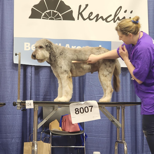 Absolutely Pawfect Pet Styling