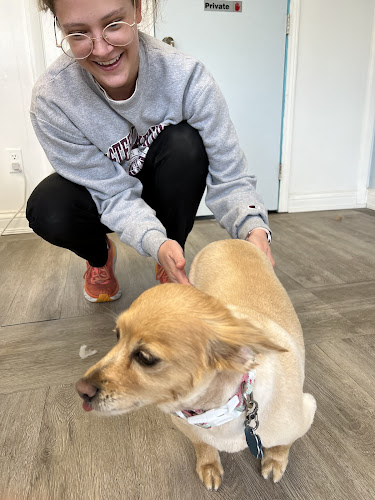 Absolutely Paws-itive