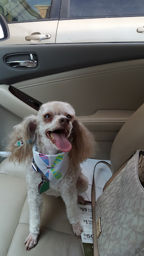 Academy of Dog Grooming Arts