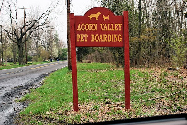 Acorn Valley Pet Boarding