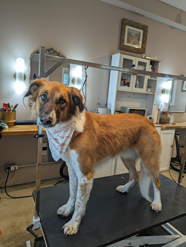 Adelaide's Haven - A Pet Spa