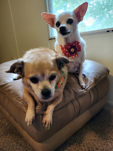 Adorable Pet Salon & Spa