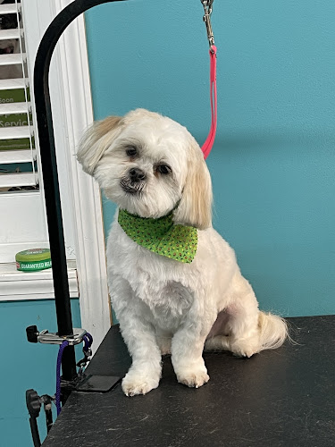 Adrienne’s Paw Paw Spa