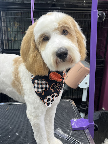 Affinity Grooming LLC