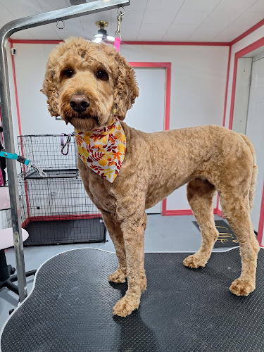 Alannah's Pet Spaw LLC