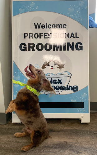 Alex Pet Grooming