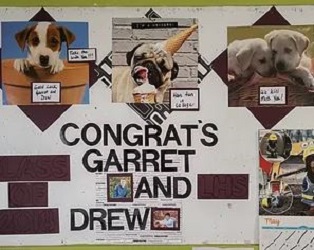 Alexander's Kennels LLC