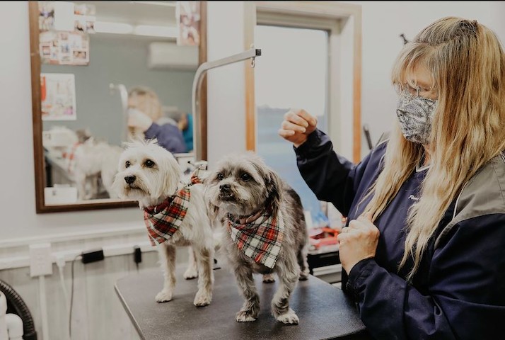 Alisha's Best of Friends Pet Care & Nutrition Center