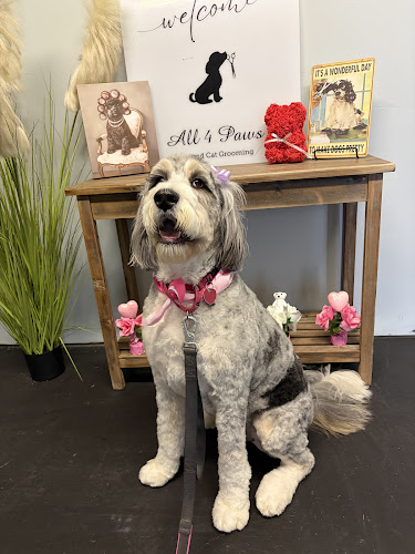 All 4 Paws- Pawtucket