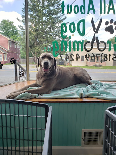 All About Dog Grooming LLC