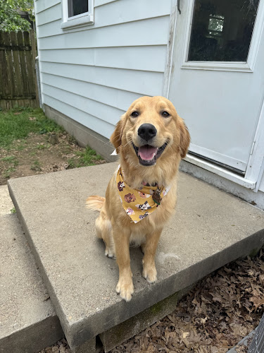 All Breed Grooming, Boarding And Daycare