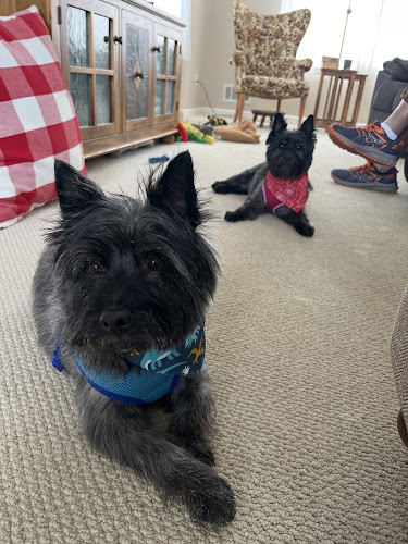 All Breed Grooming Corner