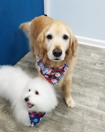 All Dogs Grooming Honolulu