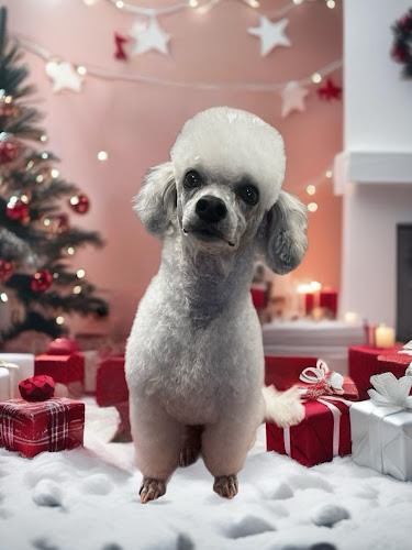 All Fluffed Up Grooming