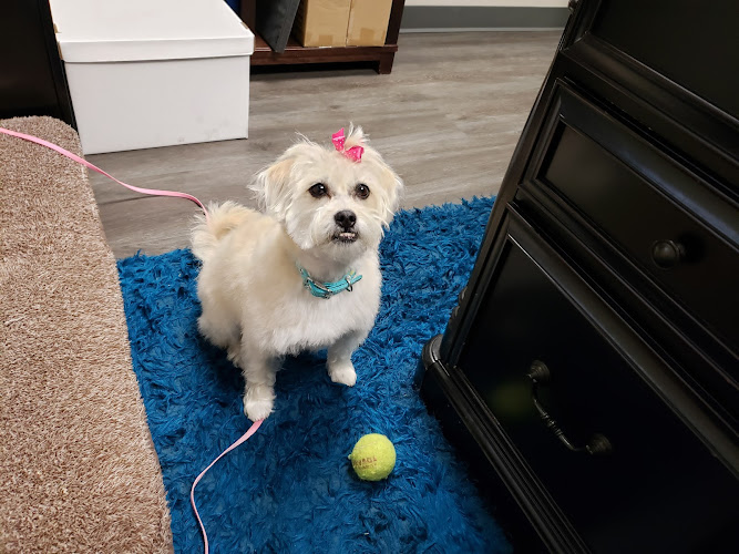 All Pet Supplies & Equine Center