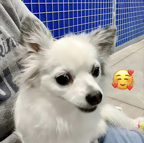 Almost Home Pet Resort