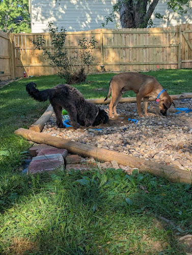 Almost Home WV Doggie Daycare