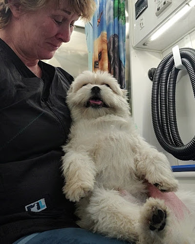 Alpha Mobile Grooming, LLC