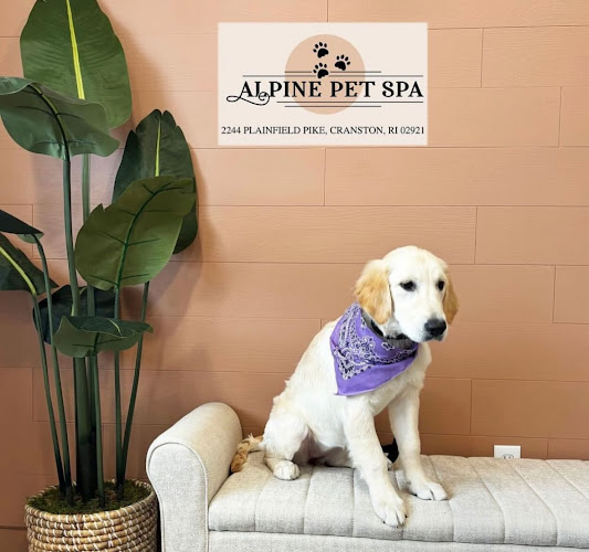 Alpine Pet Spa