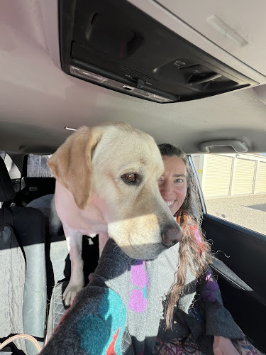 AlpinePups Grooming Spa