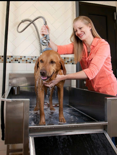 AM PM WASH & NOAH'S PET WASH