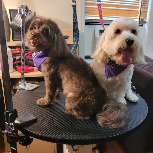 Amanda's Doggy Stylez