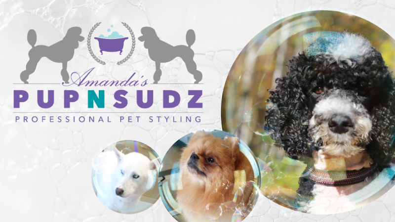Amanda's Pup N Sudz