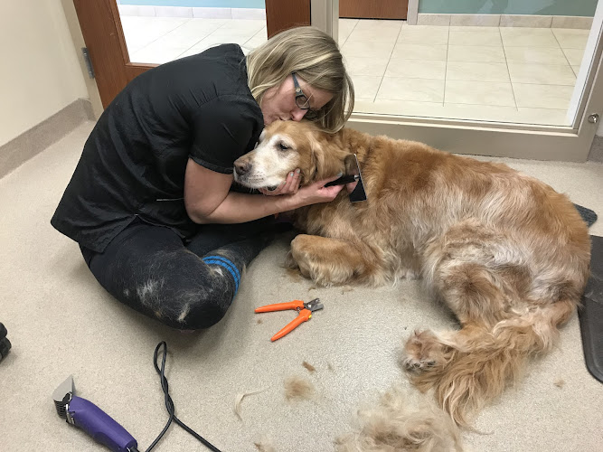 Amber Paws Pet Grooming
