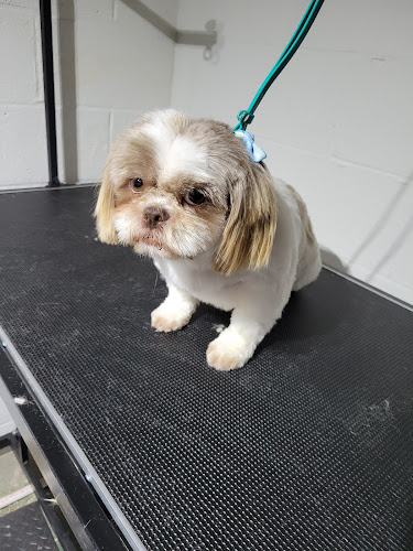 Amber's Grooming Spa