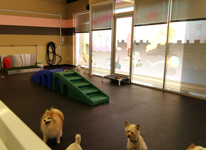 Ambers Luxury Pet Hotel And Spa