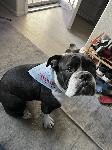 American Pet Hospital