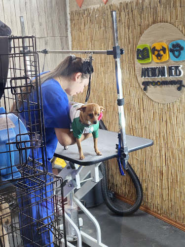American Pets Grooming