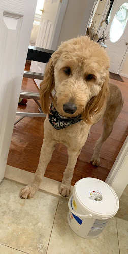 Amy's Royal Treatment