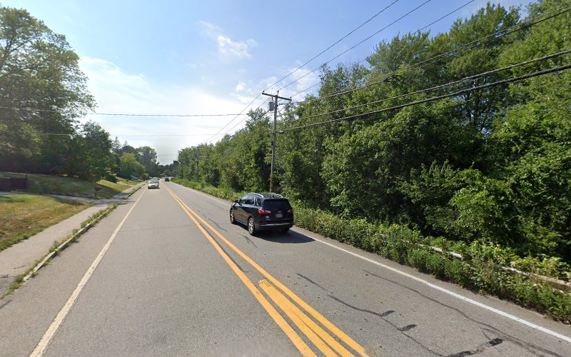 Ana's Mobile Pet Salon